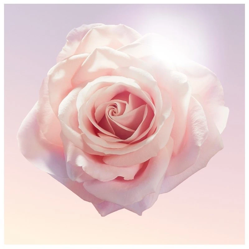 Lancome Lancôme Idôle EDP 25 Ml - Billede 9